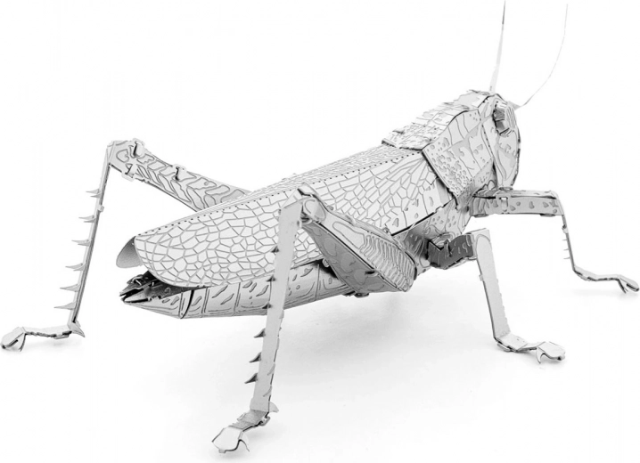 Metallist kollektsionääri ese väljapanekuks