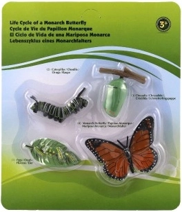 Hariduslik väärtus