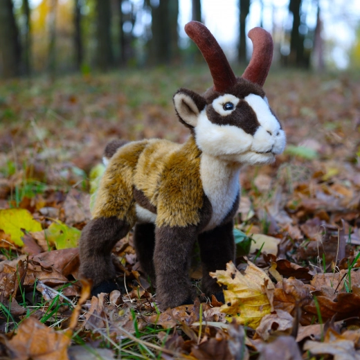 Keskkonnasõbralikud materjalid