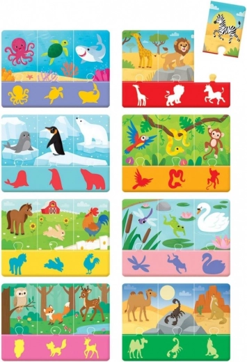 Värvilised illustratsioonid loomadest ja nende elukeskkonnast