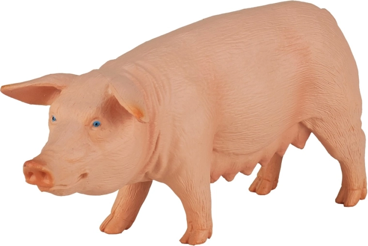 Tõetruu kuju ja värvus