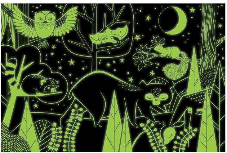 Visualize the nocturnal forest