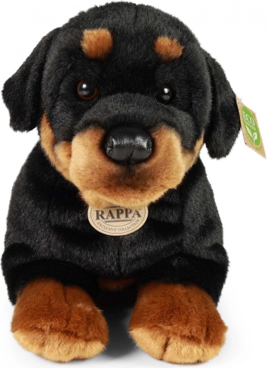 Turvaline lastele alates sünnist