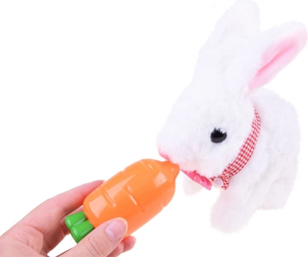 Lõbus toitmine ja vastutuse õppimine