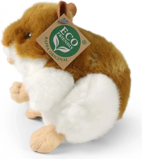 Ohutu alates sünnist