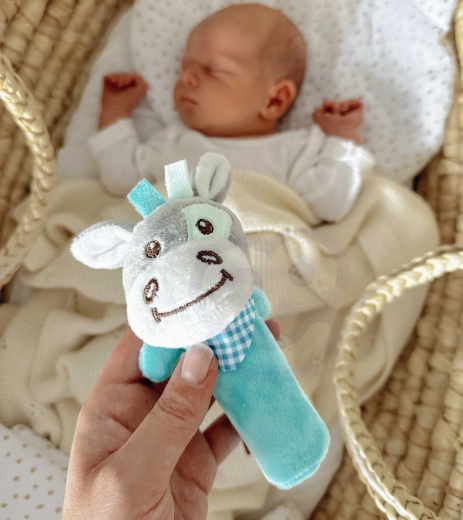 Heli- ja puudutuselemendid