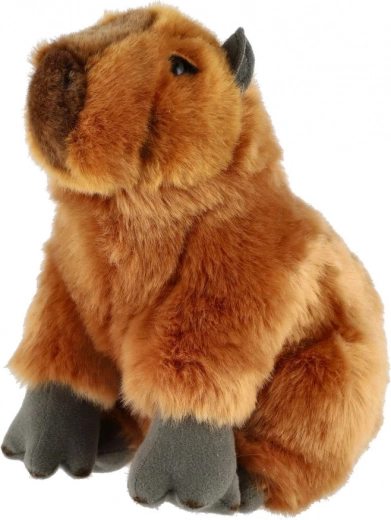 Realistlik välimus, mis rõõmustab