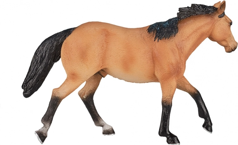 Authentic QUARTER HORSE breed rendering