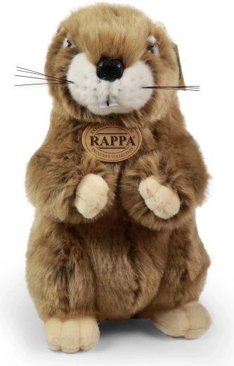 Realistlik ve4limus ja pehme plu4dss