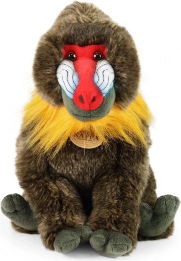 Ohutu kaisutada juba esimestest elupäevadest