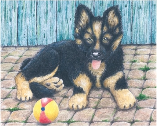 Koer lõbusaks mänguks