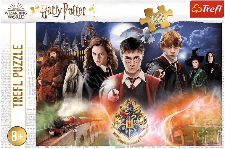 300 pieces, ideal for ages 8+