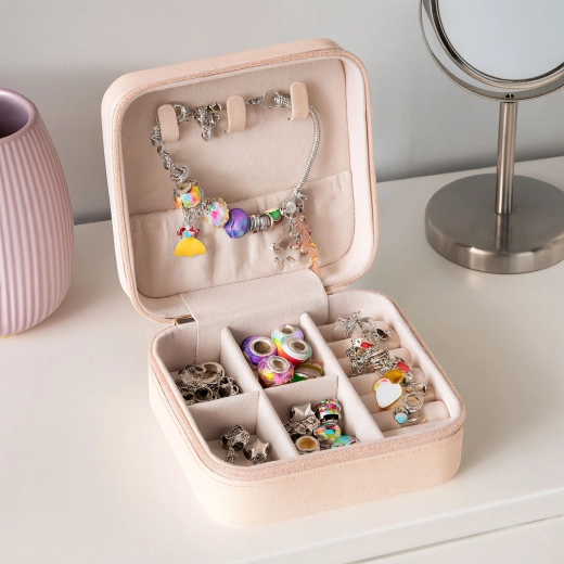 Compact organizer for order and protection