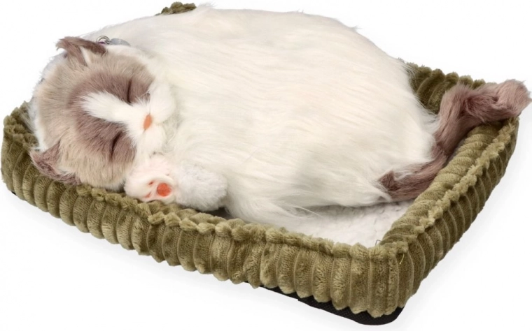 Realistic sleep for soothing comfort