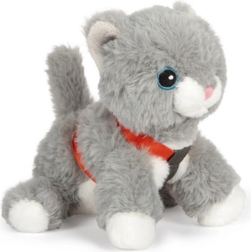 Armas ja siidine pehme kass