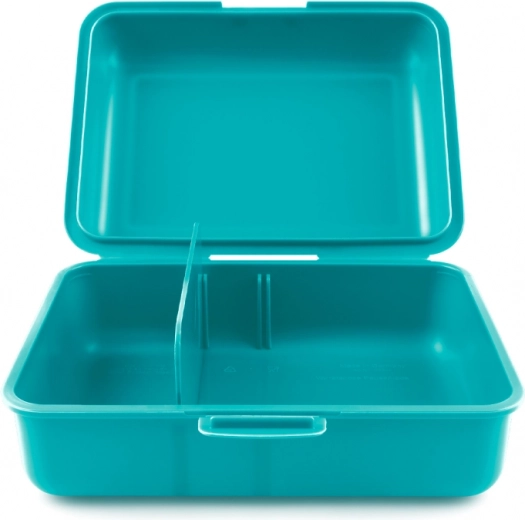 Eemaldatav jaotussein