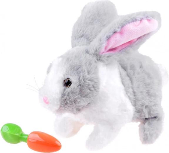 Krõmpsutab porgandit