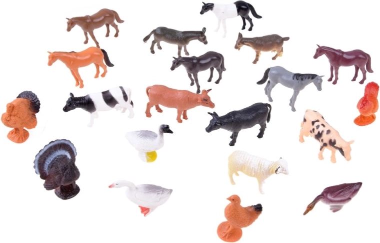 20 tükki lõbu ja õppimist