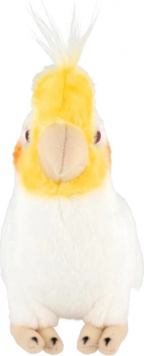 Ohutu alates sünnist