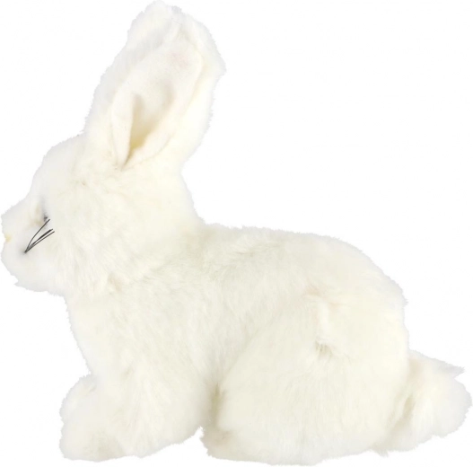 Kerge ja ideaalne kaasas kanda