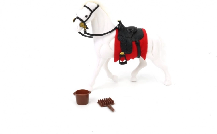 Playset with accessories