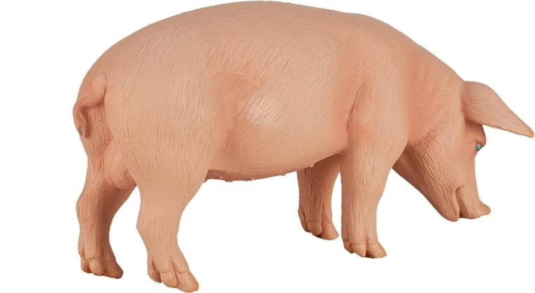 Sobilik kollektsionääridele