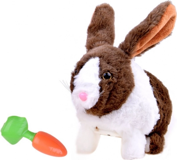 Lõbus porgandiga toitmine