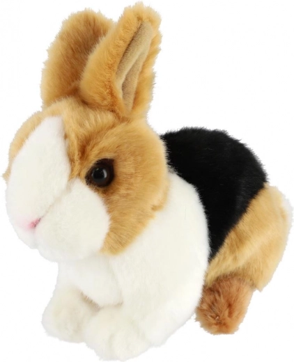 Realistlikud detailid ja värvilahendus