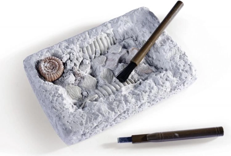 Interactive Fossil Excavations