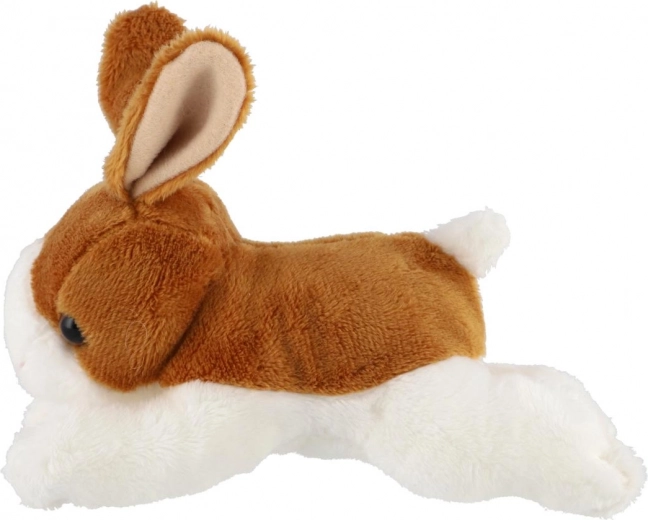 Kompaktne ja kergesti haaratav