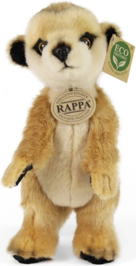 Realistlik teostus ja käsitöö