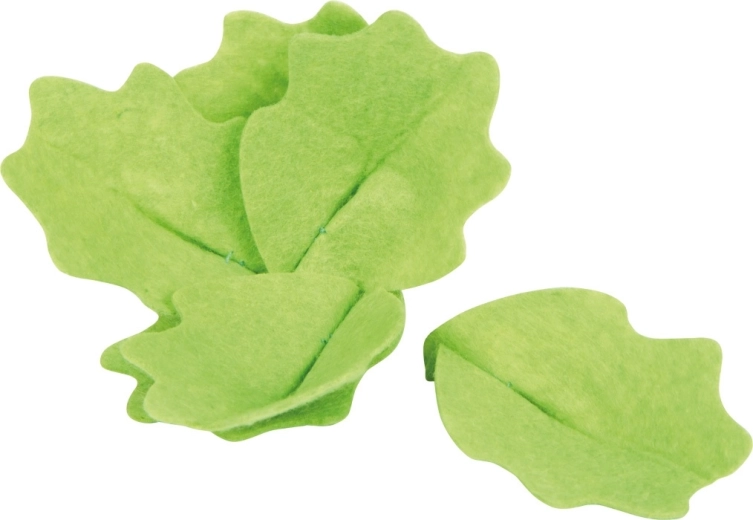Lettuce Head with Removable Leaves