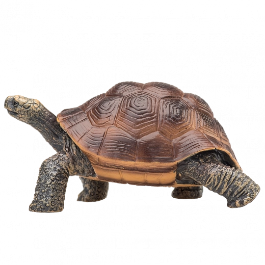 Durable and non-toxic plastic