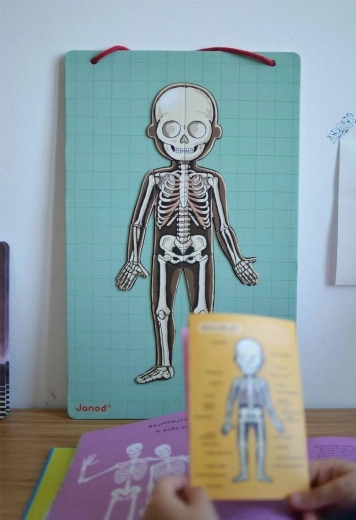Hands-on exploration of the human body