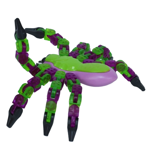 Fotode ja animatsioonide loomine Zing Studios