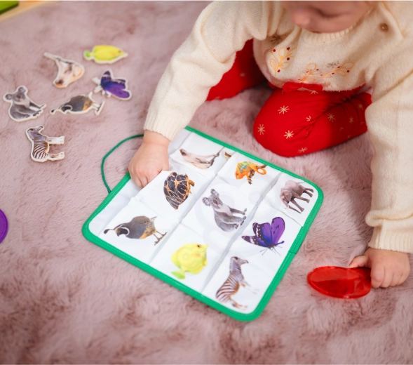 Lõbus õppimine valgusest