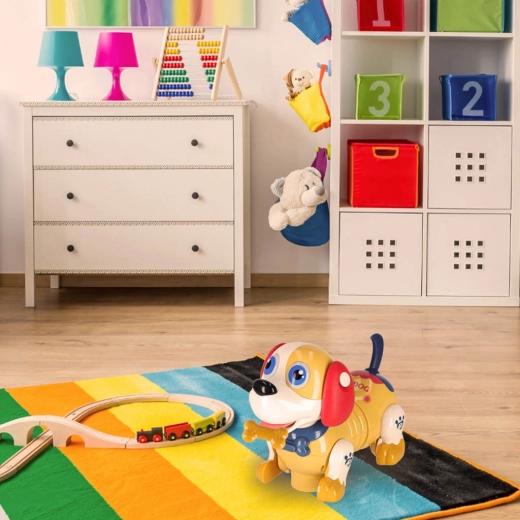 Movement, lights, and playtime joy