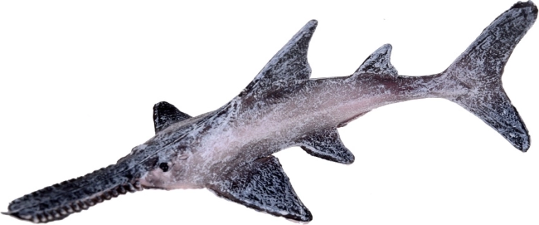 Suurepärane kingitus