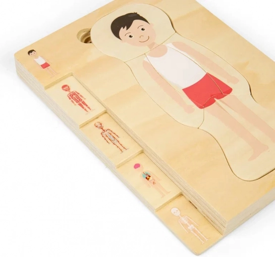 Develops fine motor skills and logic
