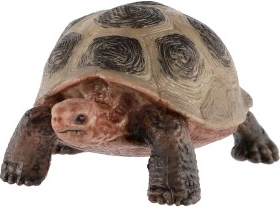 Hariduslik ja dekoratiivne kasutus