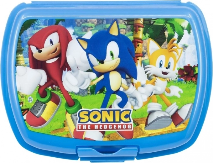 Attractive Sonic character design