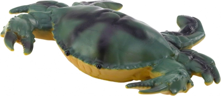 Realistlikud värvid ja erinevad mereelukate liigid