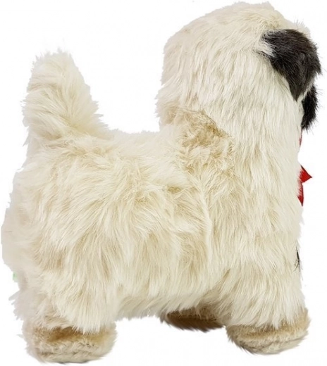 Kõnnib edasi rõõmsa meloodiaga