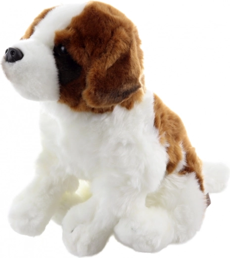 Ohutu alates sünnist ja loodussõbralik