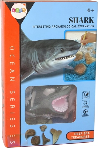 Educational Experience