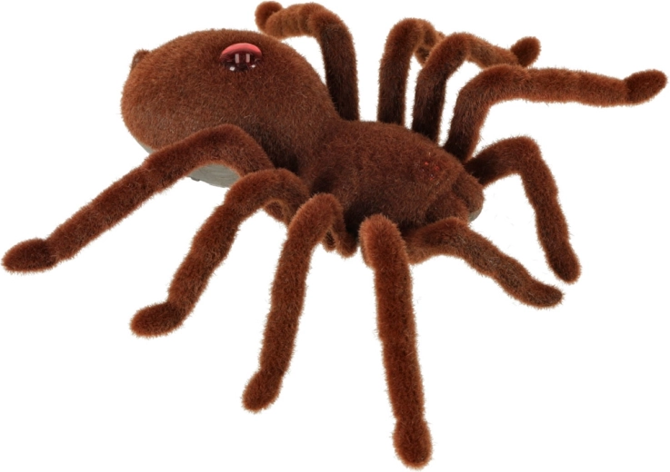 Realistlik karvane välimus