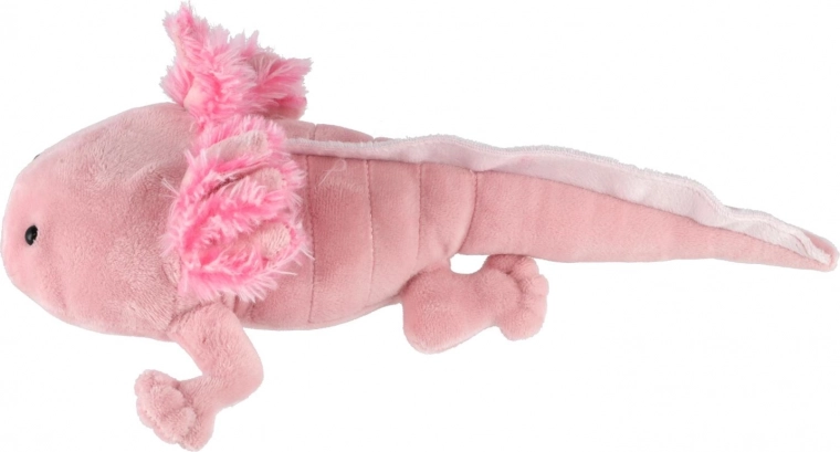 Armas disain, mida lapsed armastavad