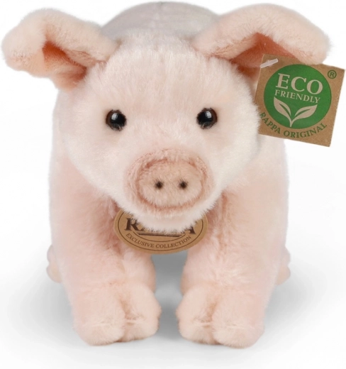 Loodussäästlik ECO‑FRIENDLY täidis