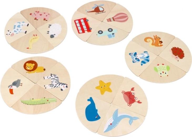 Didaktilised ringpusled