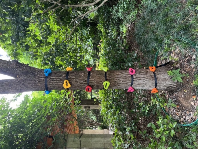 Reguleeritav rada erinevatele oskustele